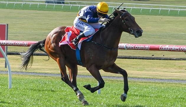 Smart Coupe is BACK in action <a href="/Caulfield/">Caulfield Racecourse</a> on Saturday. @ellertonzahra reveal her autumn plans. 
READ: bit.ly/2DzaUcx