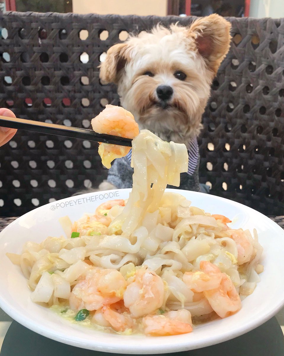 Popeye The Foodie On Twitter Can T Contain His Love For Noodles