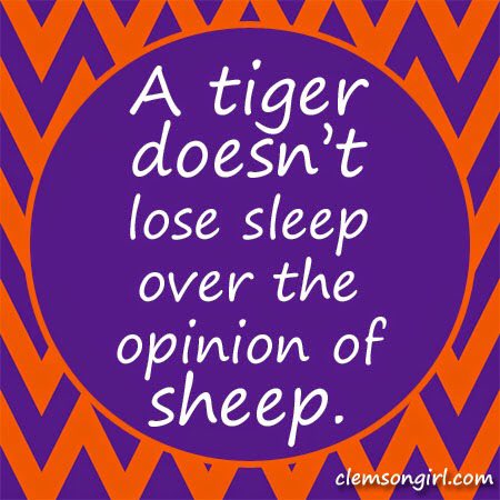 clemsongirl's tweet photo. @deshaunwatson Tiger... not lion. 😉🐯💜 https://t.co/lzbEUfLUNP