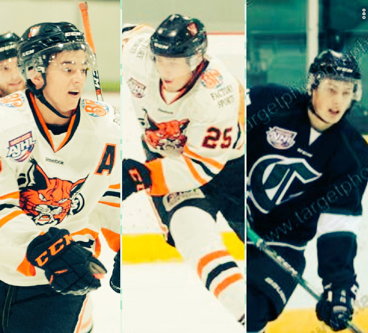 lpsd_academy's tweet photo. 3 Academy Alumni highlight tomorrow’s Hockey Hooky Game between the @LloydBobcats &amp; the @SPcrusaders. 

@kobewalker21_ @cstephenson_77 and Chase Anderson will definitely be fan favourites for the 1200+ LPSD students in attendance!  
#AcademyPride
#Hockeyisimportanter😆 https://t.co/naKzUW1Qei