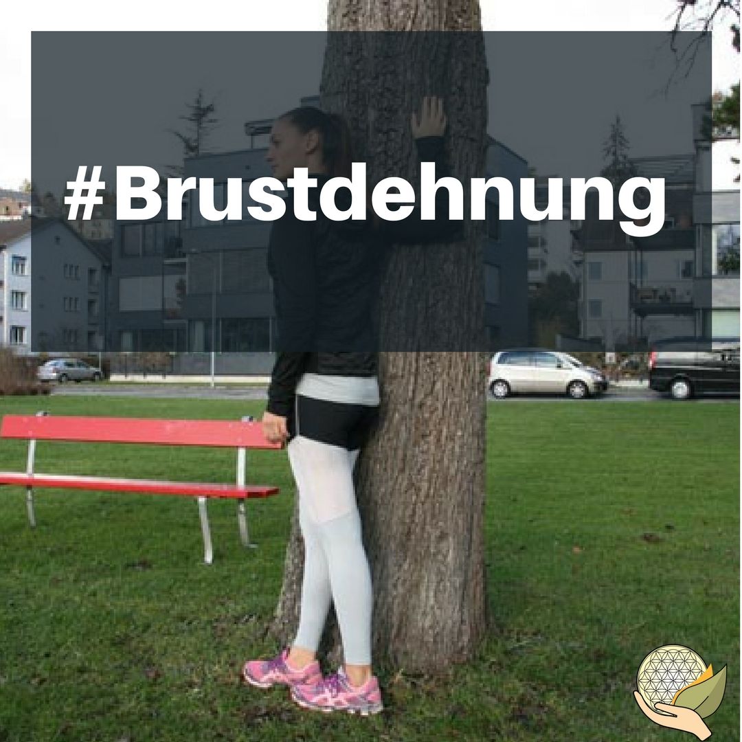 philderphysio's tweet image. Ich möchte Dir erklären, warum Dehnen so wichtig ist. Hier findest du einen super Artikel darüber. 
👉🏽buff.ly/2DYjPBf #dehnen #wade #Stretching #bewegung #workout #faszien #flexibility #muskelpflege #physiotherapieshop #yoga #pilates #zurich #schweiz#fitschweiz