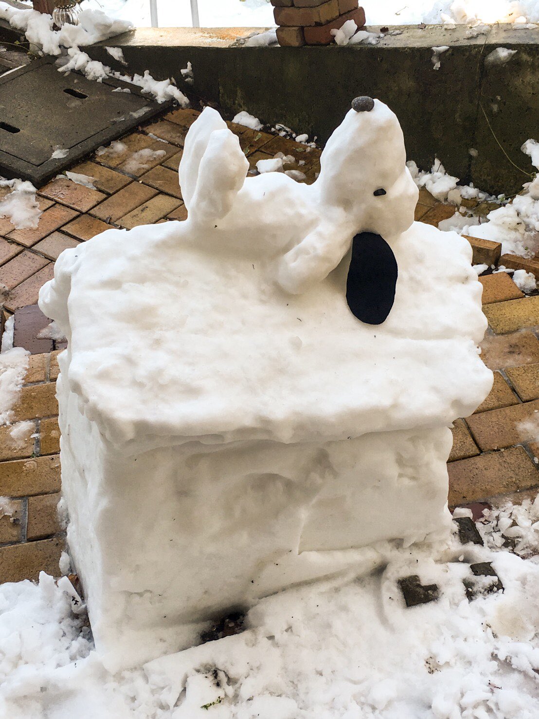 Snow Twitter