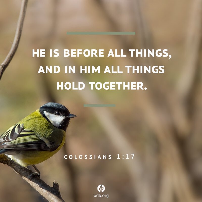 UnpluggedDc's tweet photo. God of Life https://t.co/LR9AHjKeYF