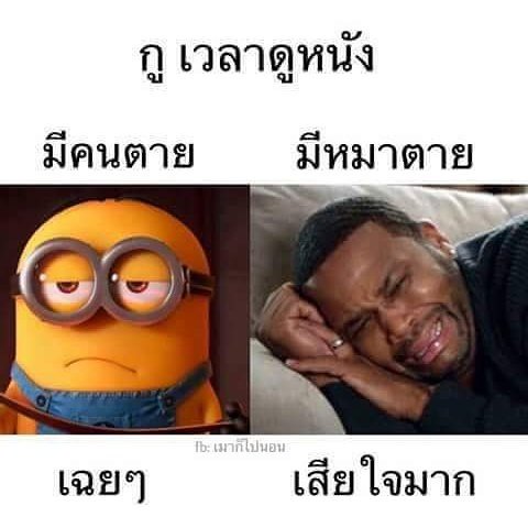 rakmahjung's tweet photo. ใครเป็นมั่ง https://t.co/ppHeo5gAtb