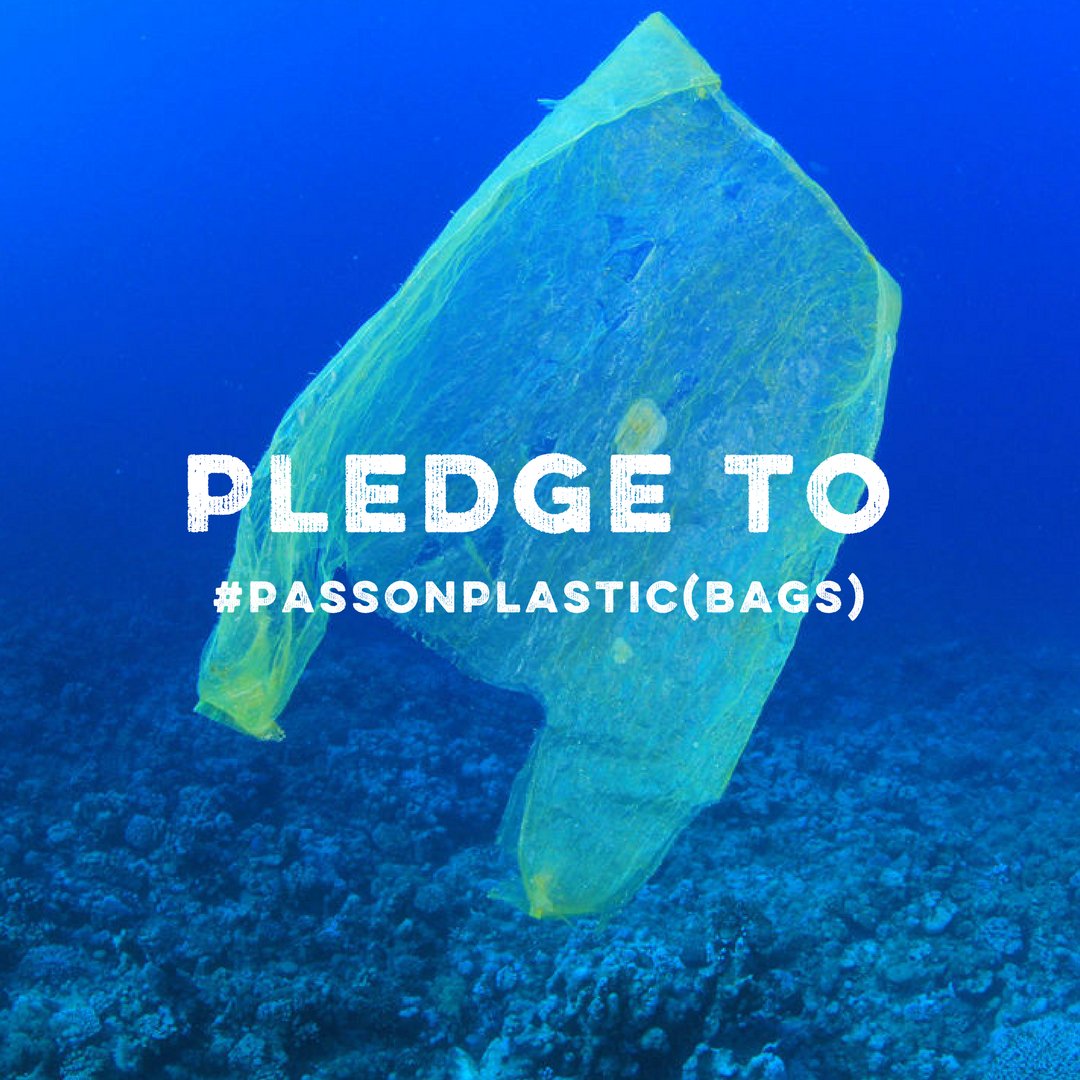 Nine billion fewer plastic bags have been used since we successfully campaigned for the bag charge. But we want to reduce this number further, so join us in making a pledge to pass on plastic bags for @SkyOceanRescue #PassOnPlastic 🙋 goo.gl/r5BhUu