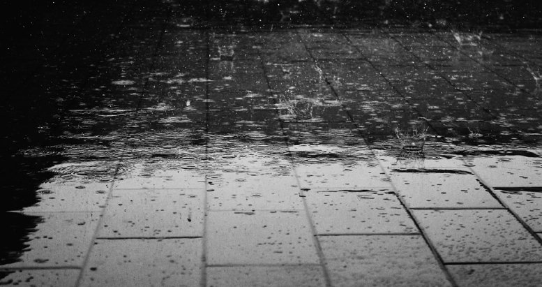 Word of the day: "drookit" - soaked to the skin, drenching wet, most usually from heavy rain (Scots). 
Cf also "drooky", "drouky", meaning damp, wet.