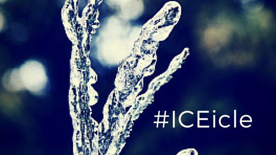 sherbino's tweet photo. #ICEicle: #KeyLIMEPodcast 153: Methods Consult with Lara Varpio – Episode 1 https://t.co/oMuK71DRWE https://t.co/NBiMj2jGvY