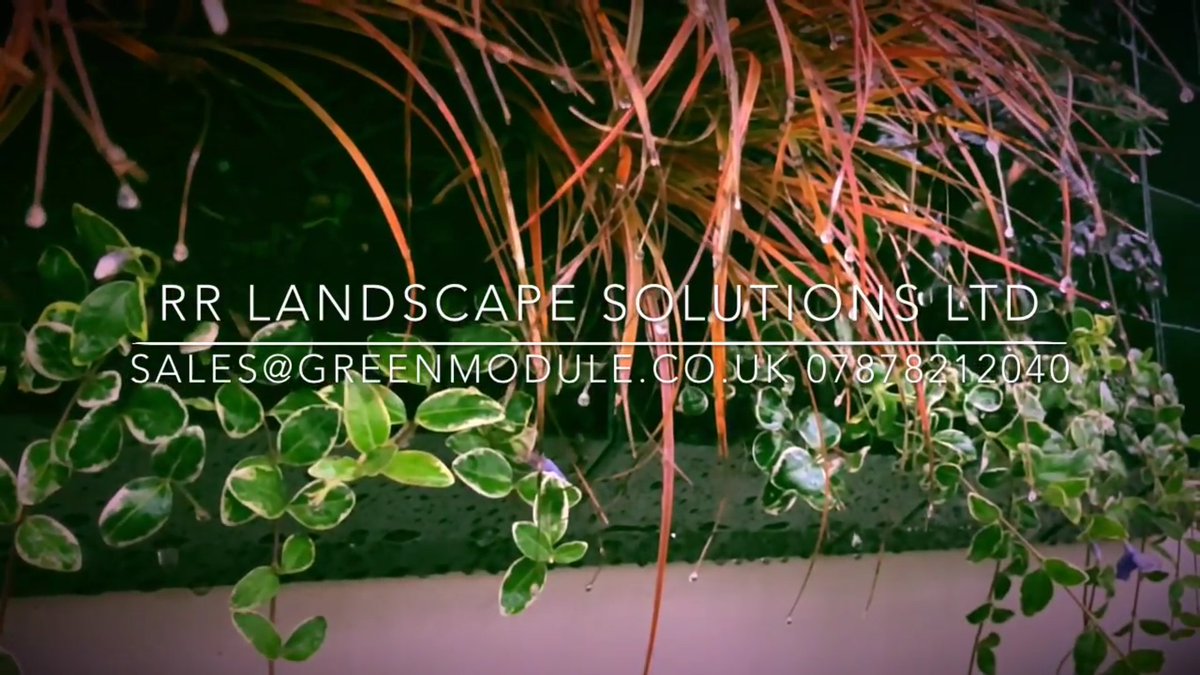 youtu.be/j9kTjhckXi4

#garden #Gardening #gardenchat #Design #GardenersWorld  #GreenWall #livingwall  #verticalgarden