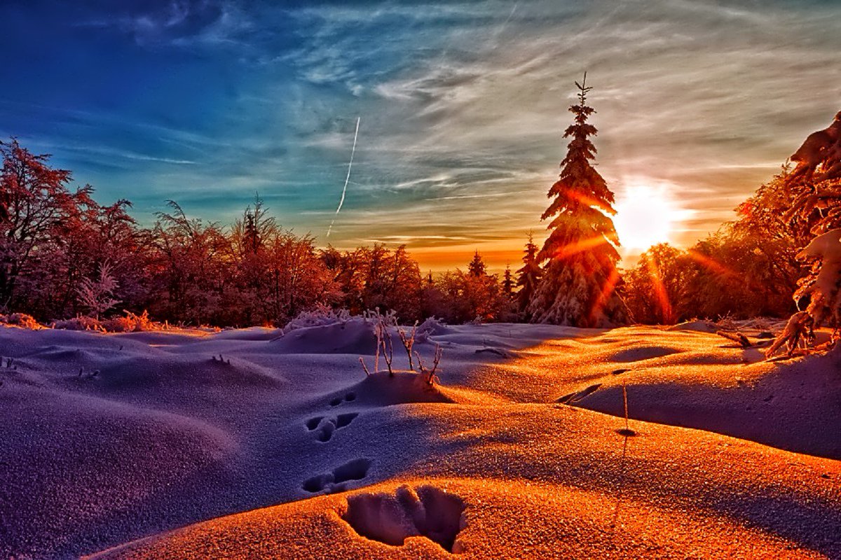 _Cristian_Vlad_'s tweet photo. Good morning Twitter Friends !!
#GoodMorning #Photography https://t.co/FurSgoiMgj