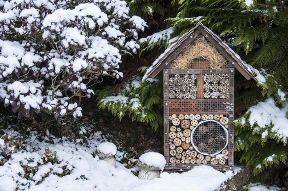 LGSpace's tweet photo. What happens to bees in winter - and how to help them, from @friends_earth: https://t.co/t6yTvv6cgw 🐝
#SaveTheBees https://t.co/knj6bDWu8n