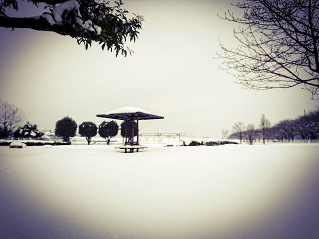 freewheeling70's tweet photo. (⊃ωｰ`).｡oOｱﾜｱﾜ
今起きた！(笑)
入間には行けん(￣▽￣;)
#雪景色 #多目的広場 #スマホ https://t.co/893NSf4YV2 https://t.co/mwZEtGtyus