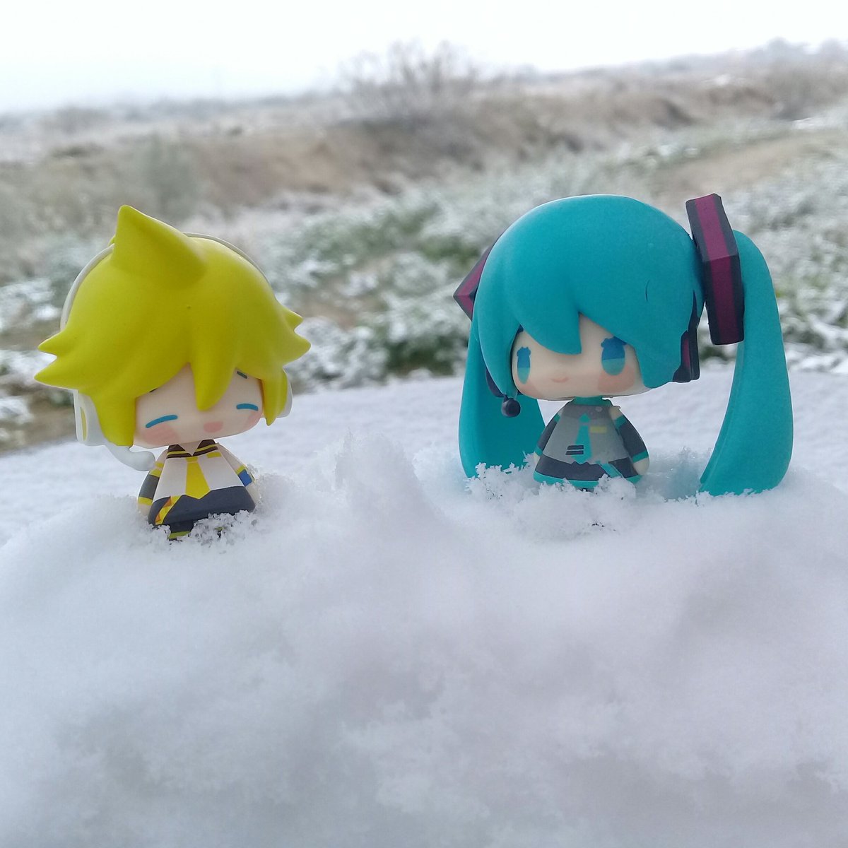 ¡Al fin logré lo que quería!

Una foto digna de estos dos.

#ミクレン