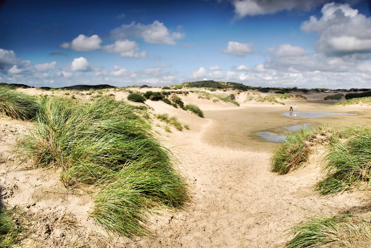 Are you a phd student? Come join the 2018 AAAC/4TU.H&amp;T/SIKS Winterschool on Affective Computing and Social Signal Processing, March 12th - March 16th 2018 in Noordwijk, the Netherlands! More info here 4tu.nl/ht/en/events/w… #affectivecomputing #socialsignalprocessing