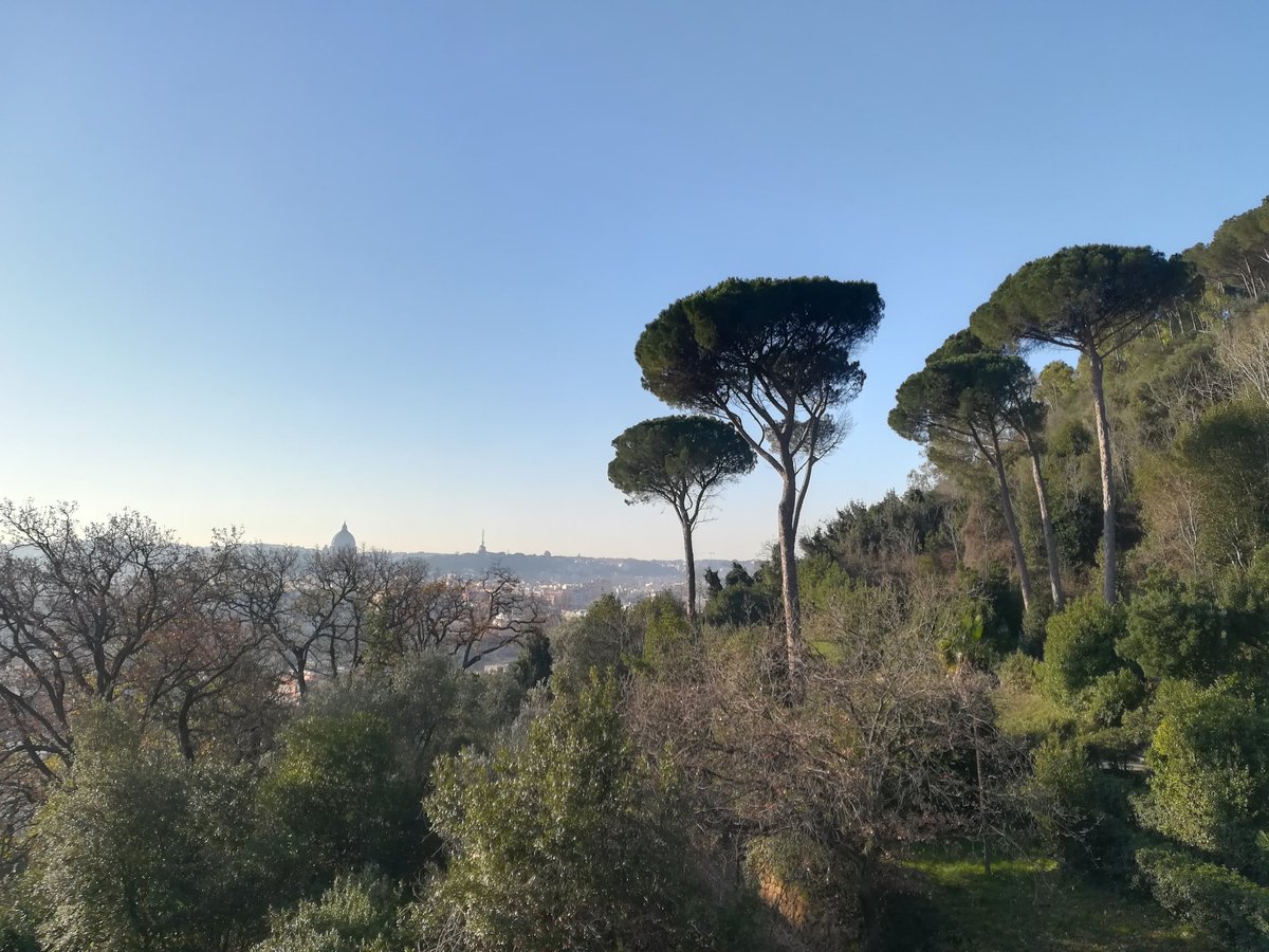 EnteRomaNatura's tweet photo. Buongiorno a tutti! #RNMonteMario https://t.co/dOTpFTyBYO