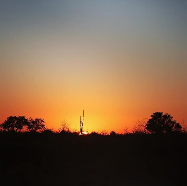 Reposting @letsholot:
The beautiful promise of sunrise.
. .
.
#TrustInTL