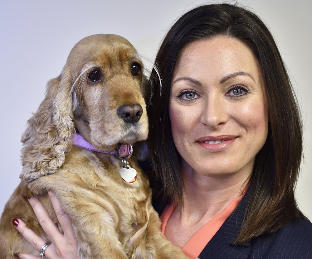 stainlessband_'s tweet photo. Say Hello to Andrea our new commercial manager and her deputy Betsy. Andrea is the one on the right :-). #welovedogs, #greatworkingenvironment #welcomeandrea https://t.co/lHEhYukq23