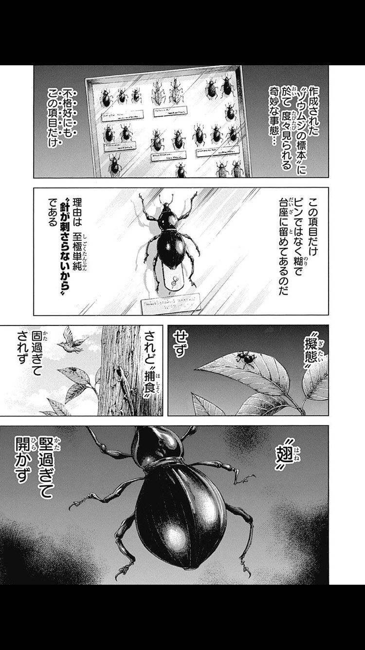 つぶやくぽてと こうゆう説明あるから好き ゴキブリ 黒光り 松崎しげる マンガ テラフォーマーズ T Co X6c9jo0czm Twitter