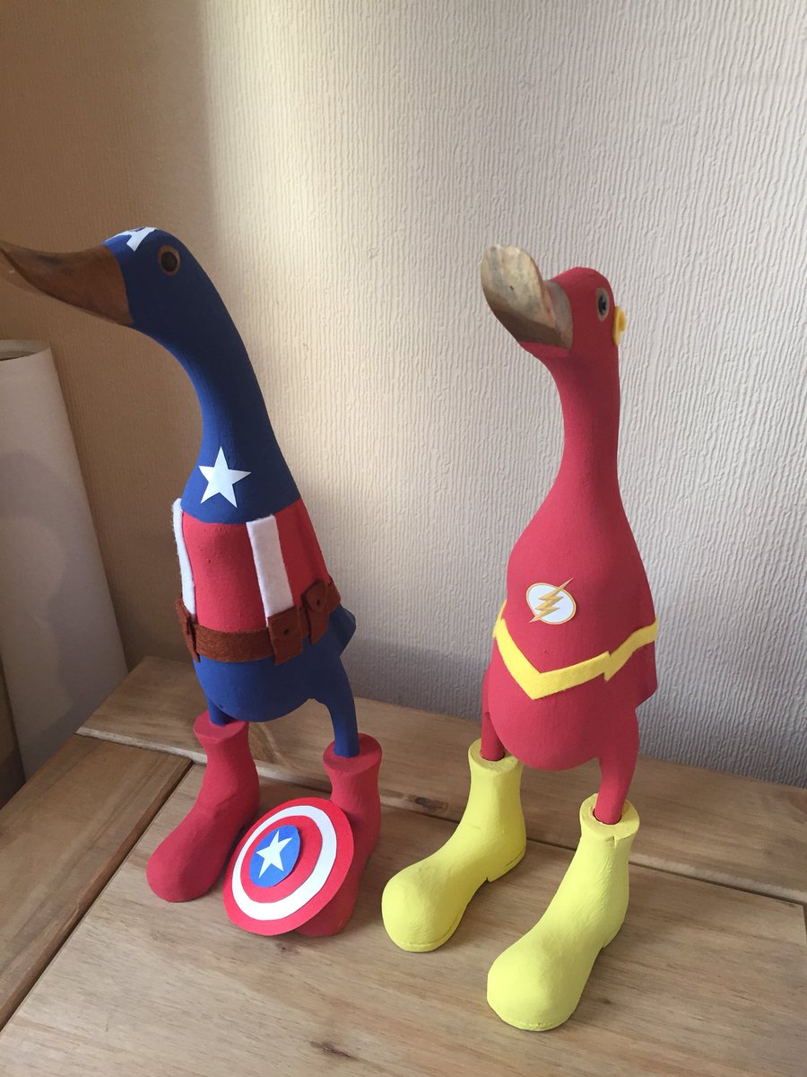 WendyBaldry's tweet photo. Our Super Hero Family is complete. Thanks @hillviewducks for our latest additions! We love them! 💖 https://t.co/mEnWAcjAXr