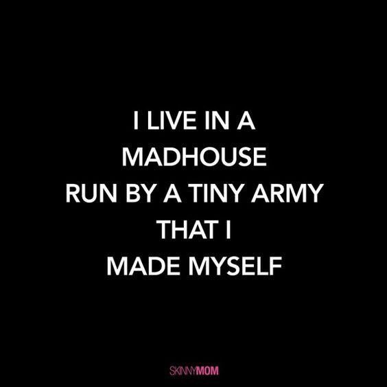 TheLttlPwrFmly's tweet photo. Do you ever have mornings where you are sure your kids were sent here to destroy you?  I’m having one of those mornings lol #realfamilylife #parentinghumour #funny #powerfam #thelittlepowerfamily #lol #familyfun #Schoolrun #tinyarmy #kids https://t.co/AGlLQjIGxR