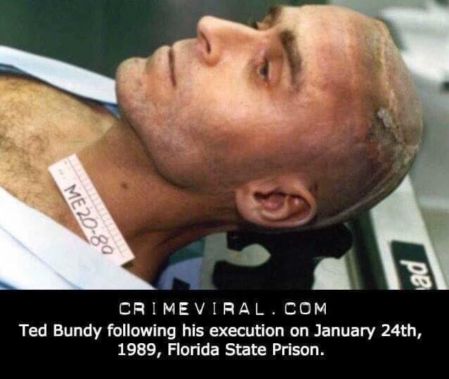 35 Ted Bundy Electric Chair Vanessa West Huntersabyrz vrogue.co