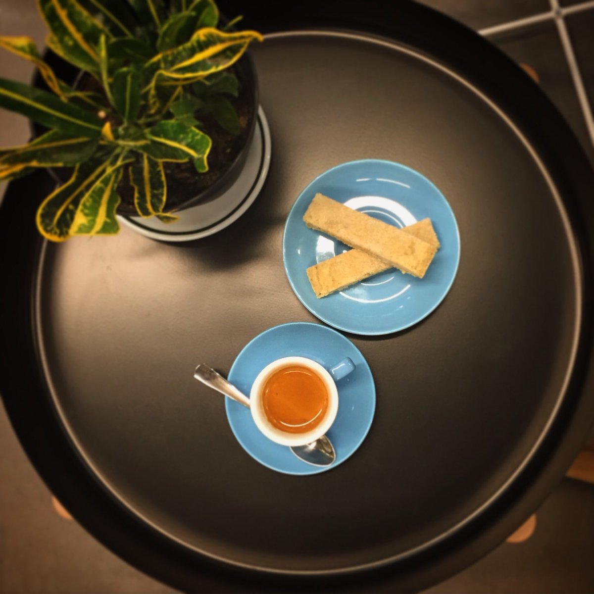 planetarycoffee's tweet image. It’s dangerous to go alone! Take this. A shot of @halfwitcoffee Triforce espresso and some cardamom / vanilla shortbread? Yes please.
.
.
.
#triforce #espresso #shortbread #cardamom #vanilla #morningmotivation #coffee #coffeeshop #specialtycoffee #michigan #traversecity