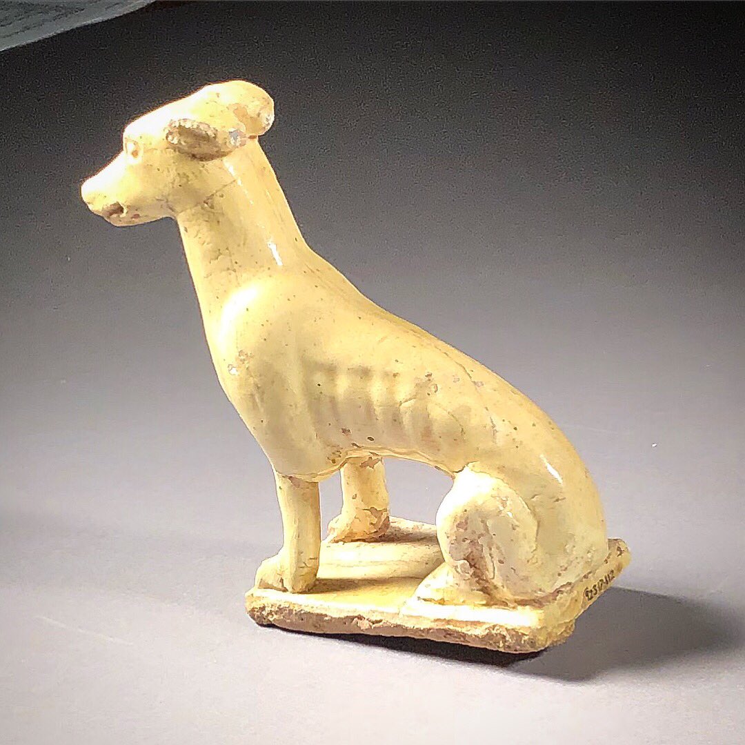 RBJMason's tweet photo. The ROM digitisation team is getting ready for the Year of the Dog by photographing all the dogs! Are *you* ready? @romtoronto #romdigital #yearofthedog #yearofthedog2018 #dogsofinstagram #dog #whippet #behindthescenes https://t.co/ANyo3UDelQ