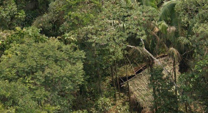 jplazaecu's tweet photo. Los #tagaeri y #taromenane, pueblos en aislamiento de la #Amazonía, más vivos y no solo en la memoria. Conozca aquí lo que implica la #Pregunta7 de la #ConsultaPopular de #Ecuador 👉🏼https://t.co/Y4g9T0S1S3

@Ec_Riksinakuy https://t.co/a0gtjqHbhK