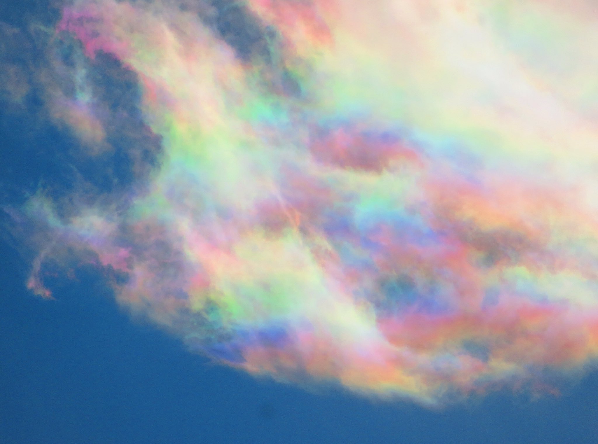 荒木健太郎 めっちゃ彩雲日和 今日は上空が乾燥して空が青く 積雲系の雲の一部がとても鮮やかな虹 色に染まっていました 久しぶりにこんなすごい空の虹色に出会えて雲欲が満たされる 雲を愛する技術 T Co Mibvsuvu38 Twitter
