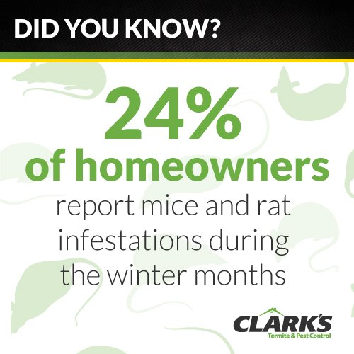 Clark's Pest Control (ClarksPest) Twitter
