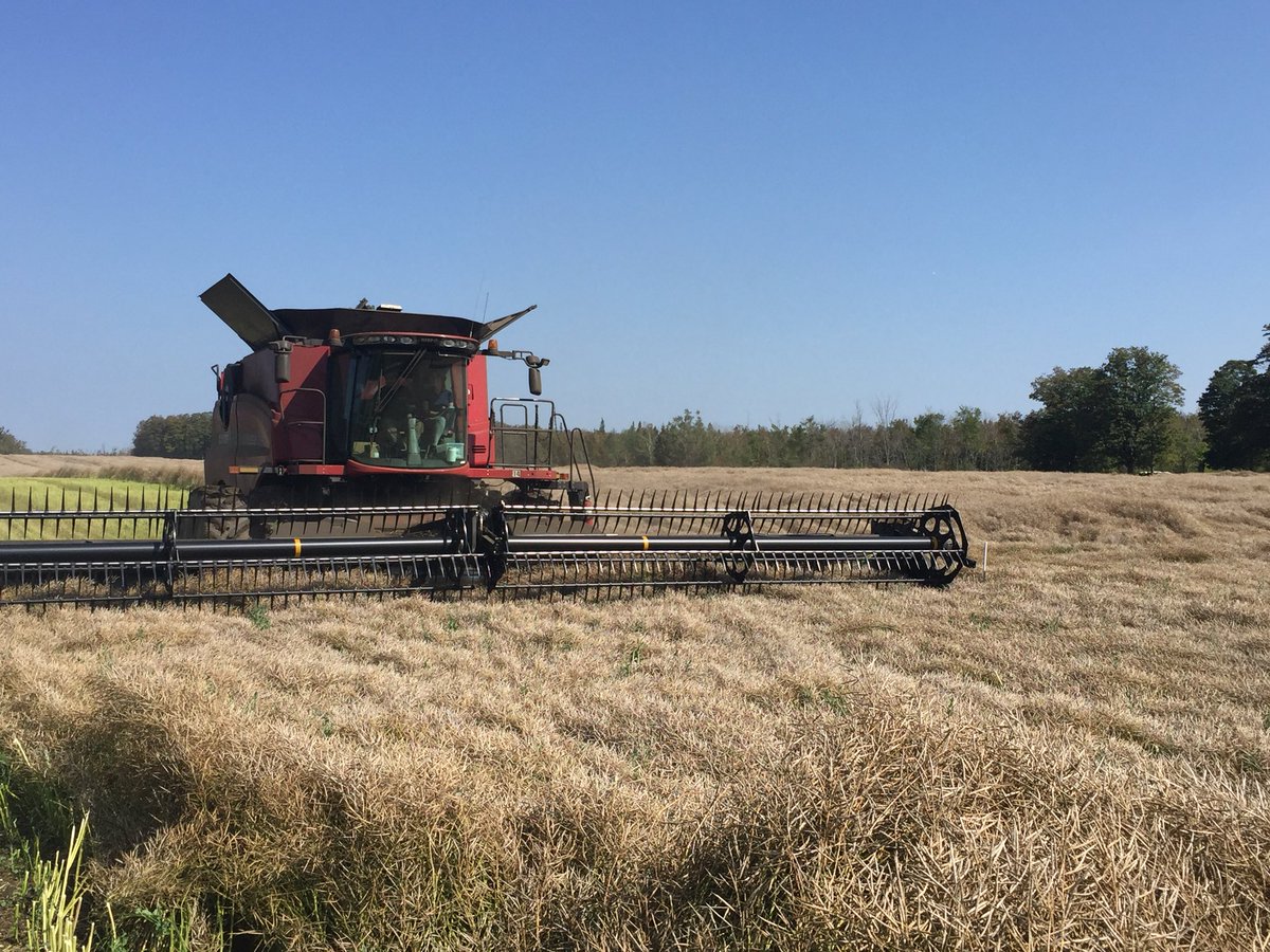 advAGsolutions's tweet photo. Be sure to stop by our booth at the @OntCanolaGrower AGM today and learn more about @Monosem_Inc planters and there advantages in Canola #seedsavings #increasedyield #mostimportantpass #mentionthisandgetahat https://t.co/NS9Tr3JgGm