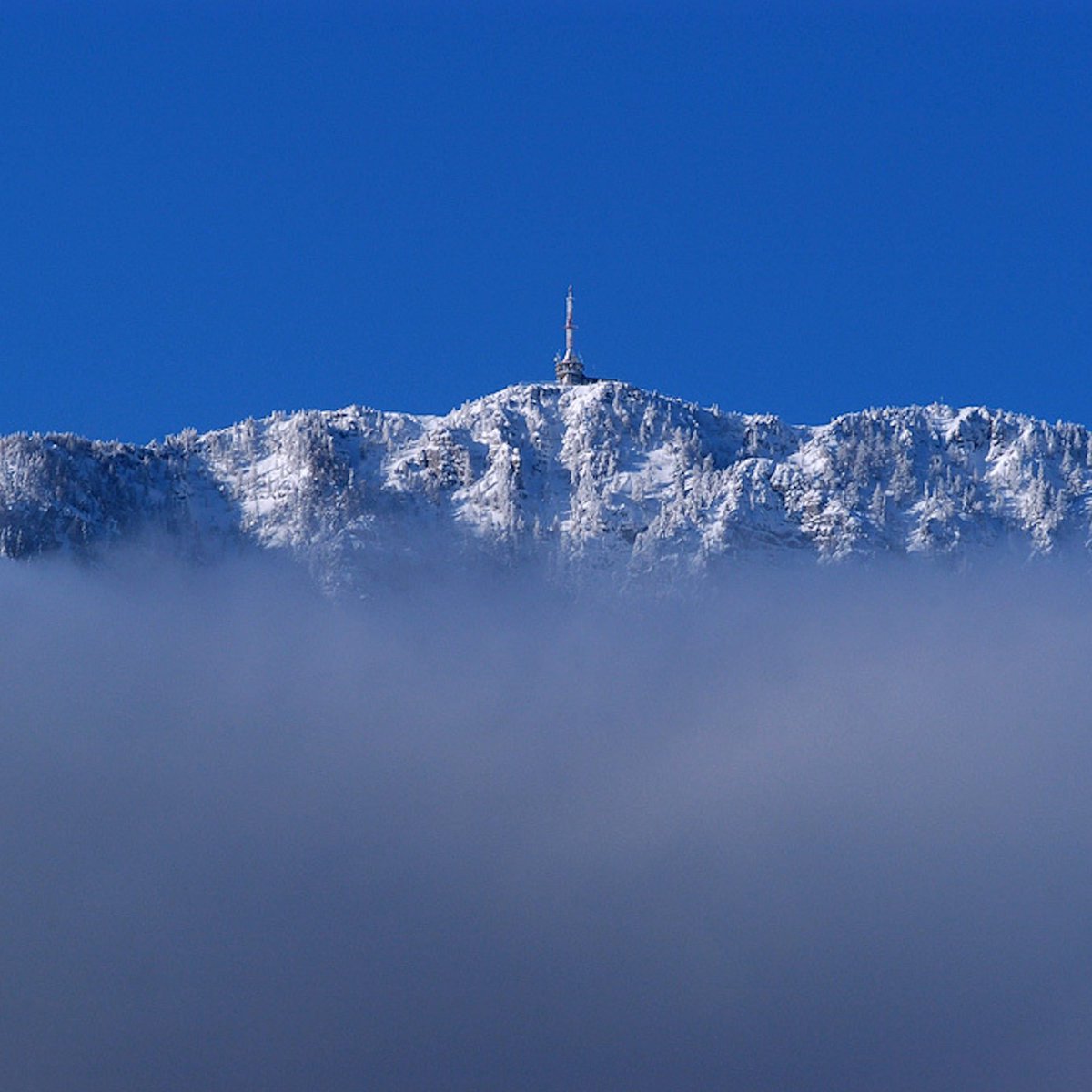 travel_slovenia's tweet image. MOUNT ST. URSULA, #Slovenia - a TV mast tower on the Mt. St #Ursula, the easternmost peak of the #Karavanke mountain range with an elevation of 1,699 metres. (Image by Tomo Jesenicnik) #mountains #winter