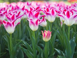 Jackson Riggs (@JacksonRiggs1) | Twitter