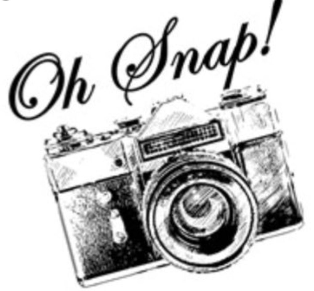 sfhs_fccla's tweet photo. Yearbook group photo during Toro Time tomorrow!  Wear your club 👕 https://t.co/0Lda5fhbmb