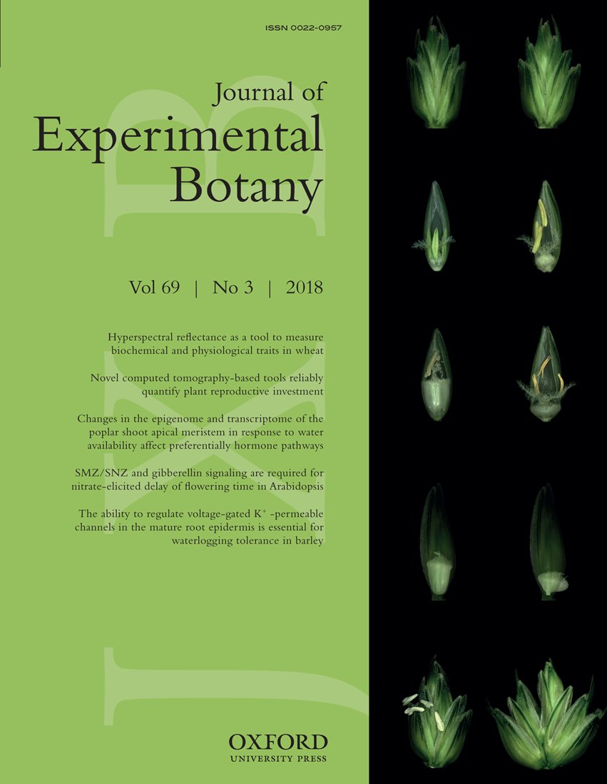 JXBot's tweet photo. New Issue online https://t.co/Z3VBR46lPL Water use strategies in #legumes, News from the PUB, cyclic peptide production, #MAPKs in multiprotein complexes, Exocyst subunits in plant immunity, #Hypoxia & voltage-gated K+ channels ..... https://t.co/HBzwBGs0Ob