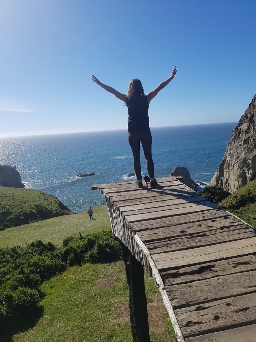 BerliLopez3's tweet photo. @aluksicc El mejor lugar que he conocido  @aluksicc  a sido el recorrido hacia el muelle de las almas en cucao... lo mejor... 45 min de caminata pero vale la pena.. y si ganara ... me encataria conocer el Torres del Paine 😁 https://t.co/3ddV9xVWLD