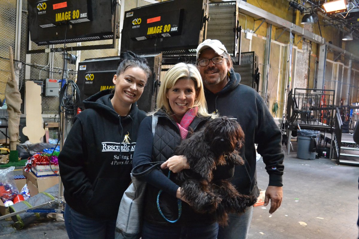 AnnBrookesCT's tweet photo. Countdown to #PuppyBowl! We can't wait to see Tyler play for #TeamFluff. Here we are backstage for pre-records--Adella + #GregMahle.
#TeamTyler #ShaggyDogRescue
@RescueRoadTrips https://t.co/0jKIeb6Ku3