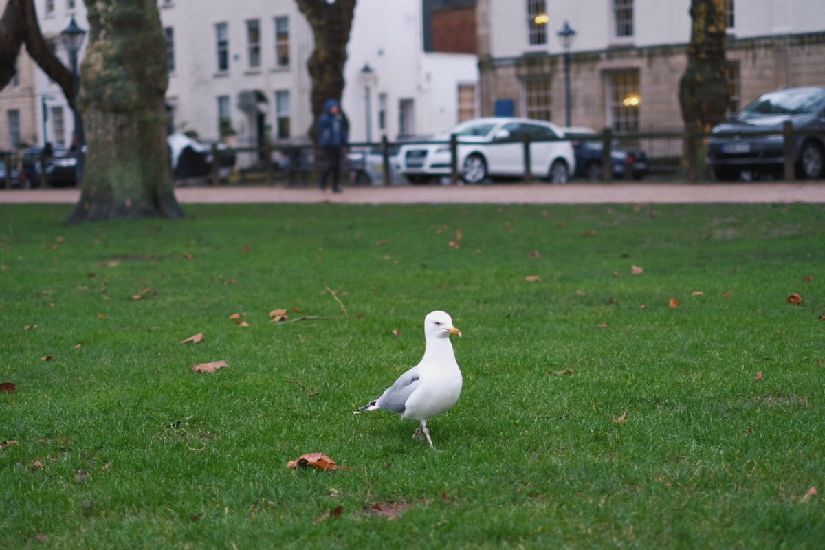 บรรยากาศมันก็จะง่วงๆทั้งวัน เปียกแฉะทั้งวัน