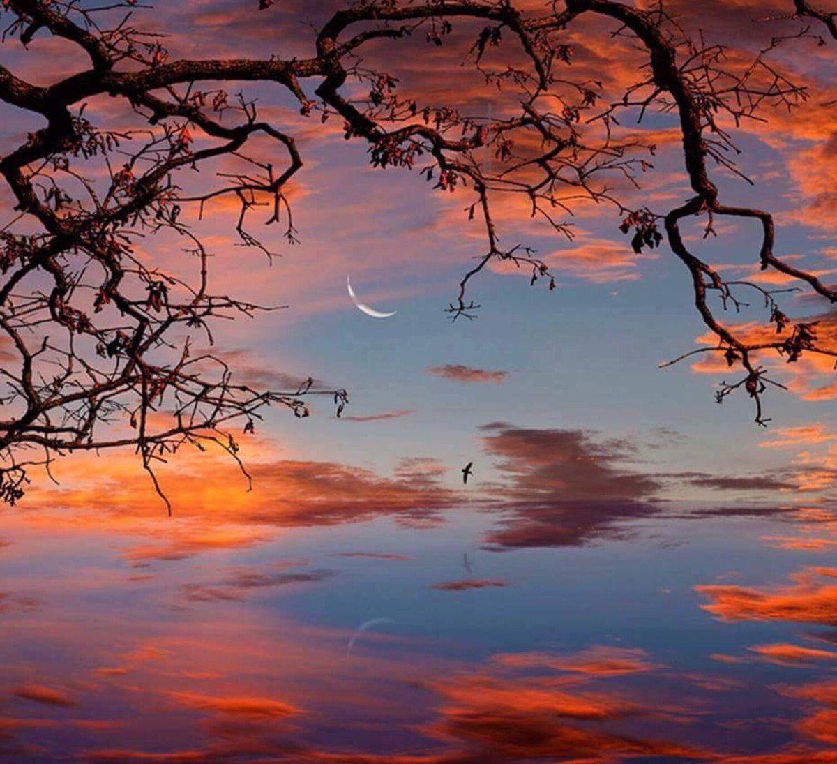 The only way to bring peace to the earth is to learn to make our own life peaceful.

Buddha