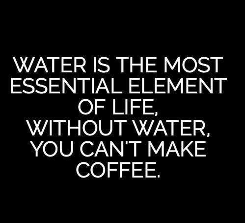 KMikalson's tweet photo. ☕️💋 #happyhumpday https://t.co/ntovoC654Q