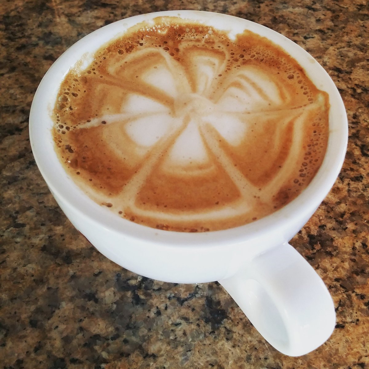 CountryCoffeeB's tweet photo. Arabica Coffee Beans from Kenya - Muburi
It makes a great cappuccino!!
https://t.co/MAFmZUOWNh

#freshlyroasted #coffee #brewingcoffee #CoffeeLover #coffeeorigins
#kenyacoffee 
@CountryCoffeeB https://t.co/E82yjnjf8R
