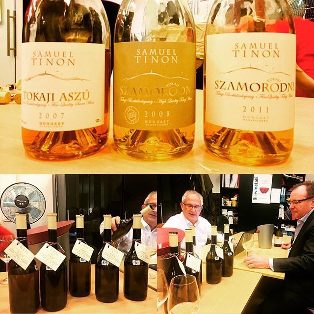 Hier ç’était l’Autriche 🇦🇹, aujourd’hui la hongrie 🇭🇺 comment voyager, un verre à la main.

A nouveau de très beaux vins.

Les secs à base de furmint sont assez impressionnant et la gamme de #Tokaj superbe Bravo Samuel Tinon.  #hungary #tokaji #samue… bit.ly/2DG84C4