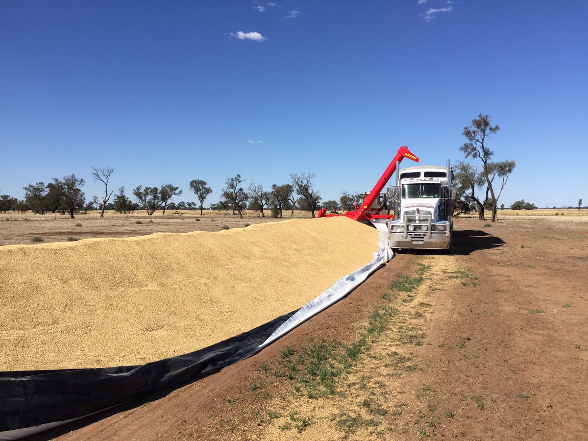 #asktwitter Does anyone know of a chart that shows how many tonnes a grain bag holds per metre for different grain types?