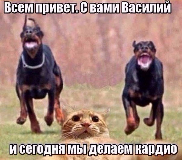 Radima__ tweet picture