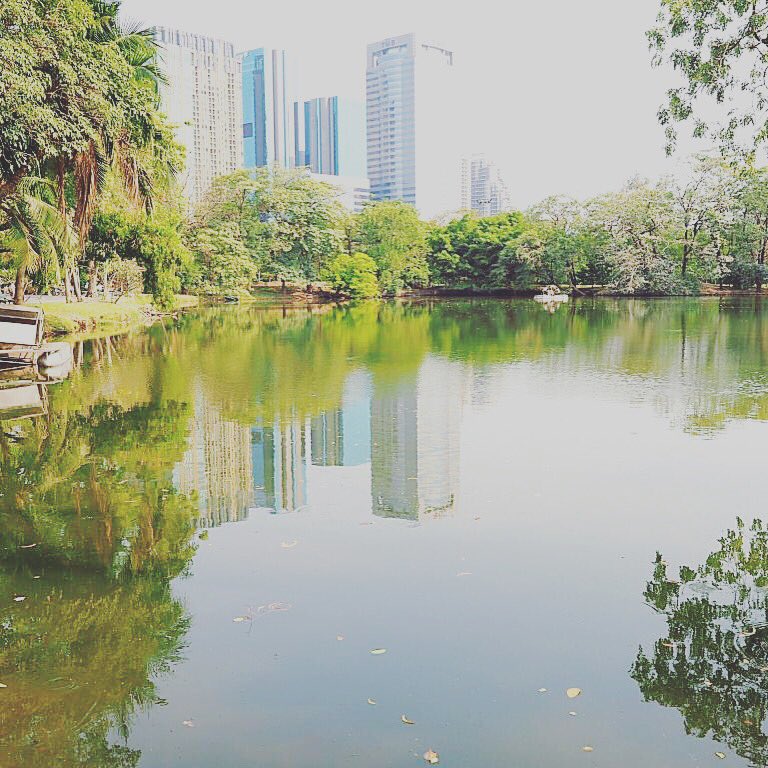 chatuchakbkk's tweet photo. Check out our latest post on Wachirabenchatat 'Suan Rod Fai' Park: https://t.co/iUMPsSNXPL Photo Credit: Tripadvisor- Luhkin https://t.co/yPkJQVjMXq