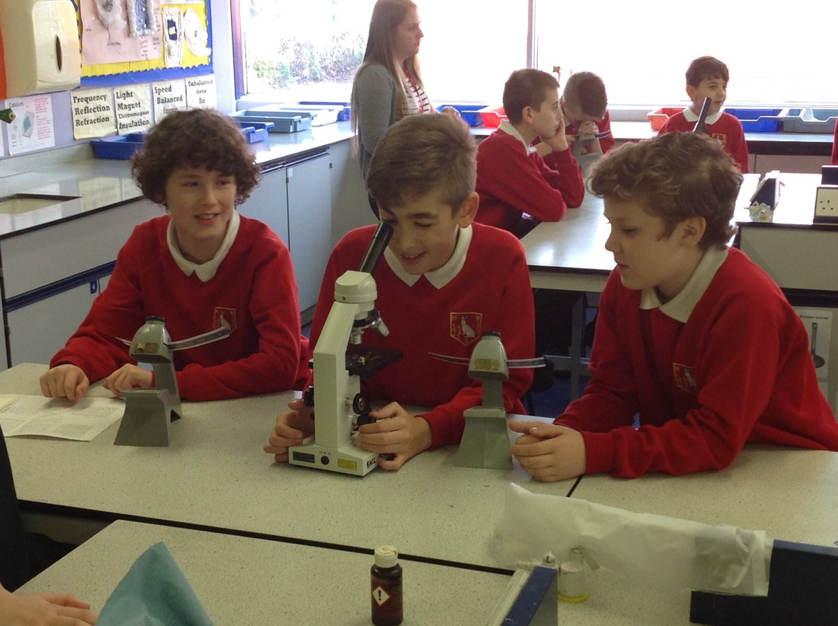 Hatch Warren Junior tweet media