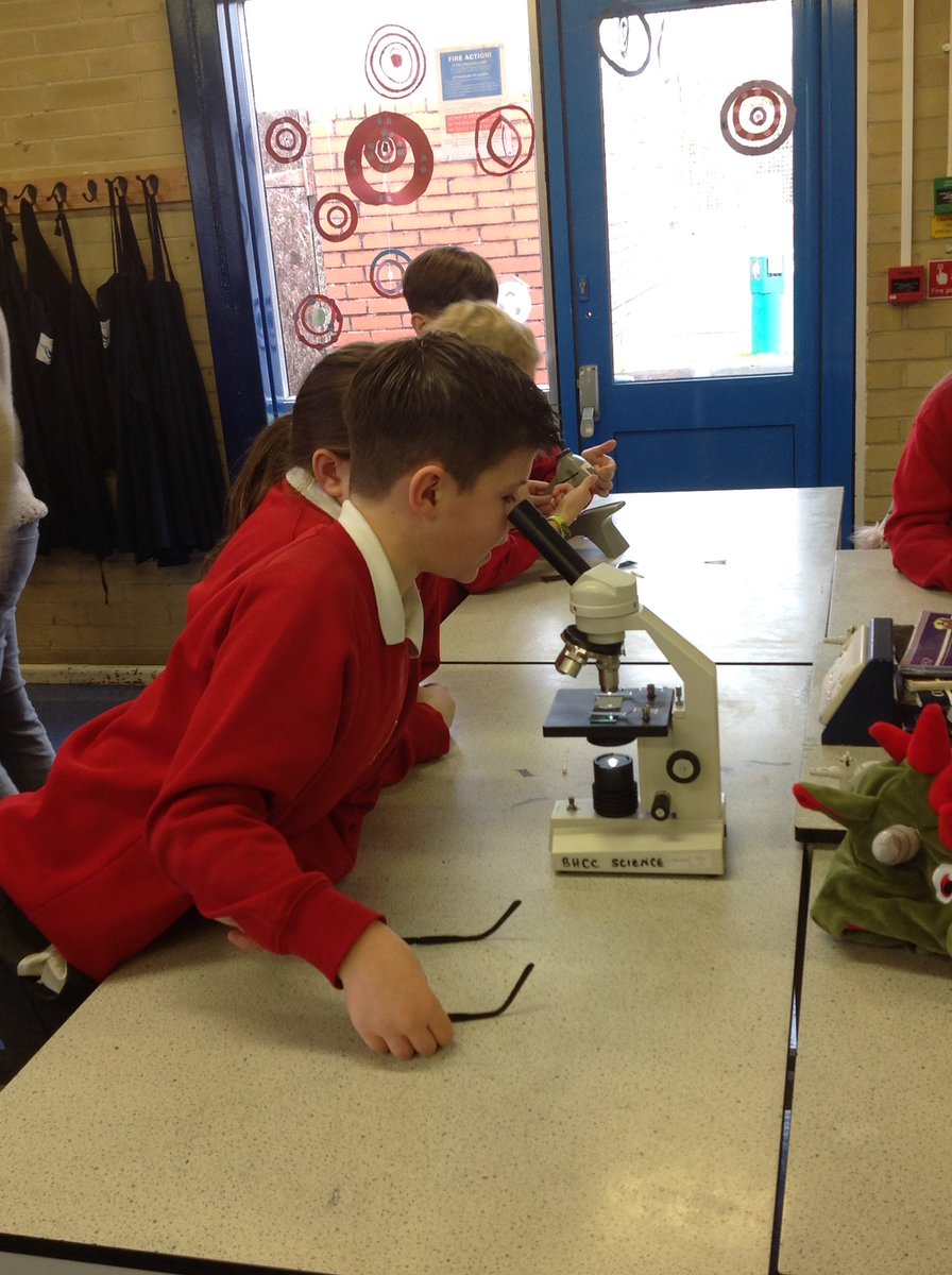 Hatch Warren Junior tweet media