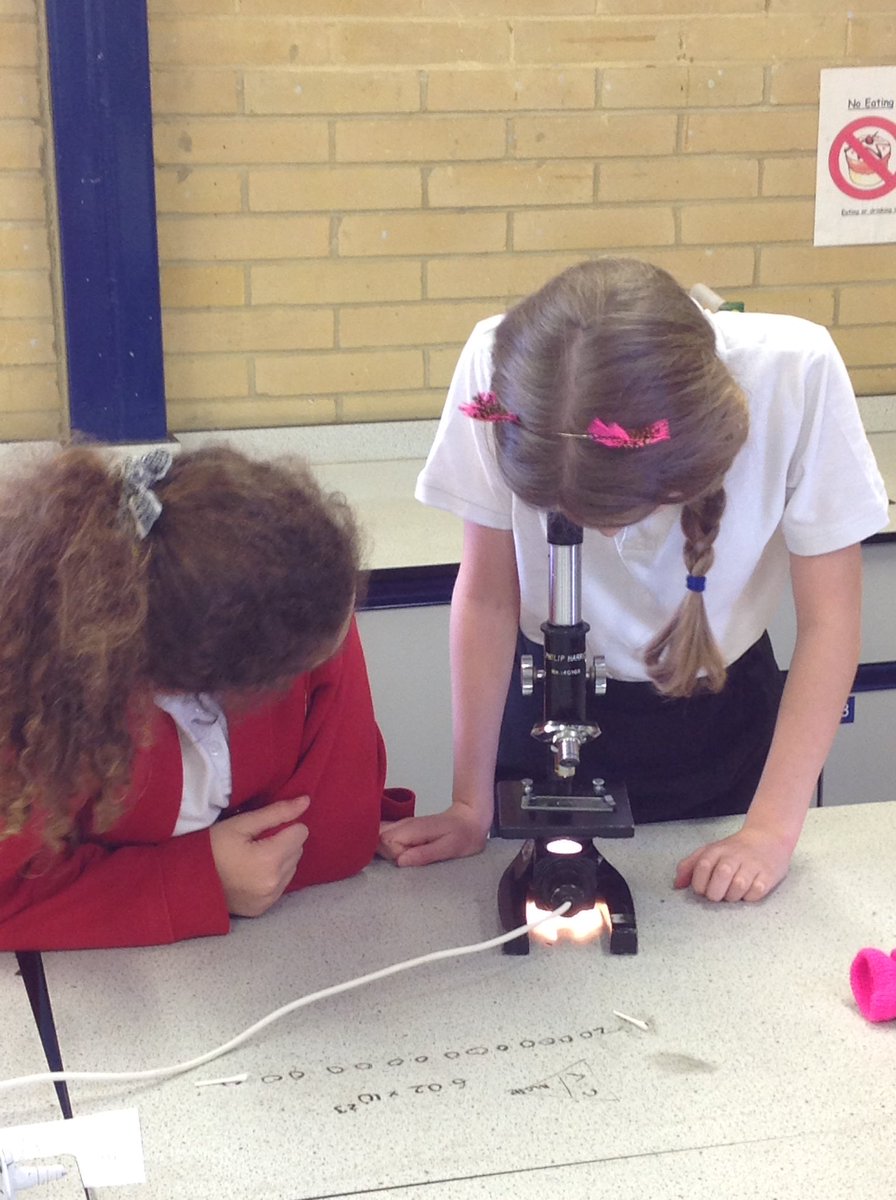 Hatch Warren Junior tweet media