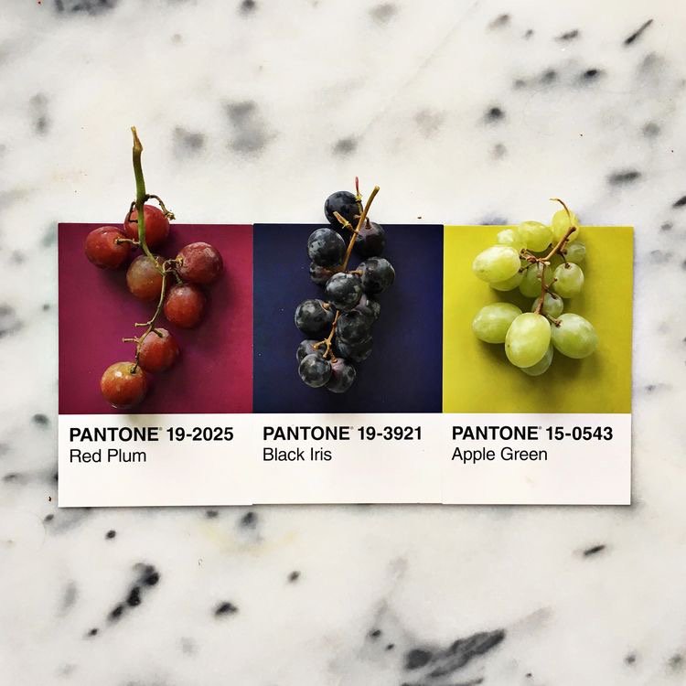 Hafta ortasında renkli zaman geçirmek isteyenler yesilbursagiyim.com adresini ziyaret edebilir 🍇

#yesilbursagiyim #yesilbursagiyimcom #samsun #moda #giyim #kadıngiyim