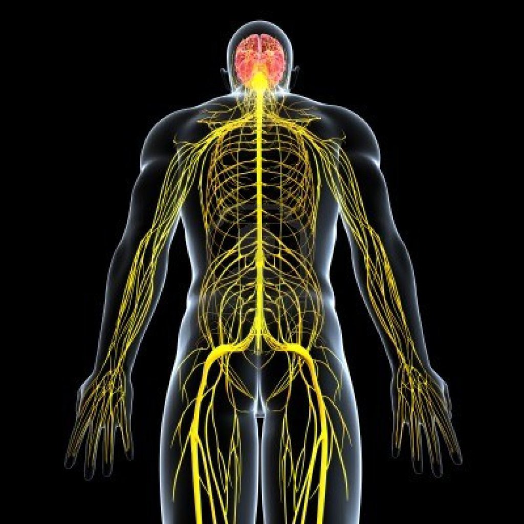 Лечение поражений периферической нервной системы в Москве
dr-zavalishin.ru/services/vidi-…

#нейрохирургия #клиниканейрохирургиивмоскве #нейрохирургиявмоскве #нейрохирургиянабабушкинской #остеохондроз #консультациянейрохирурга #лучшийнейрохирургМосквы #нейрохирургиянабабушкинской