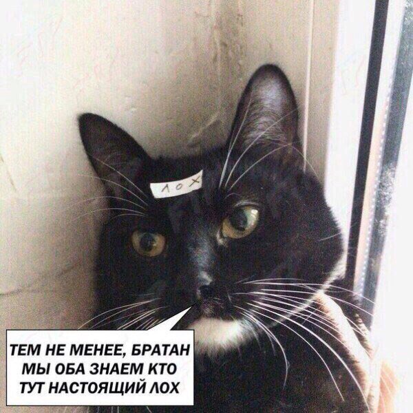DUTL4W3WsAAU53a.jpg